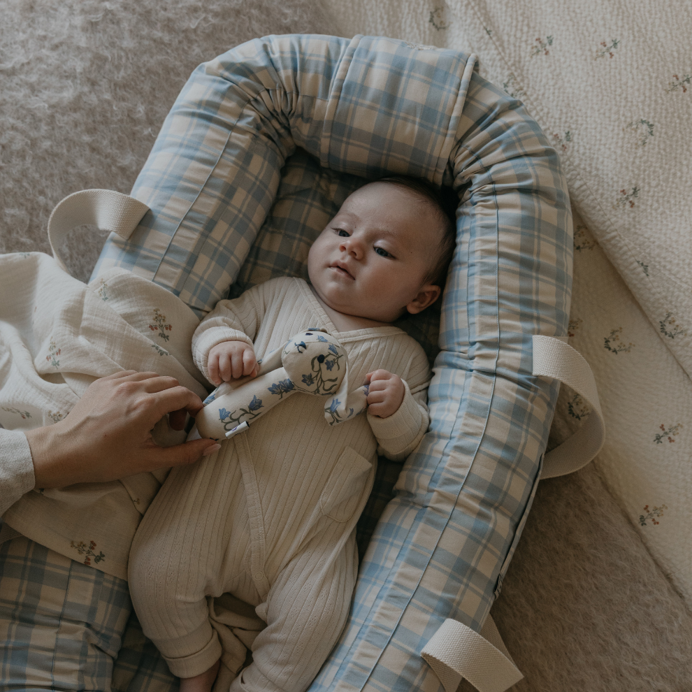 Babynest - Plaid Sky Blue - Babylift - Bio-Baumwolle - Kariert/Erdbeeren - Garbo & Friends
