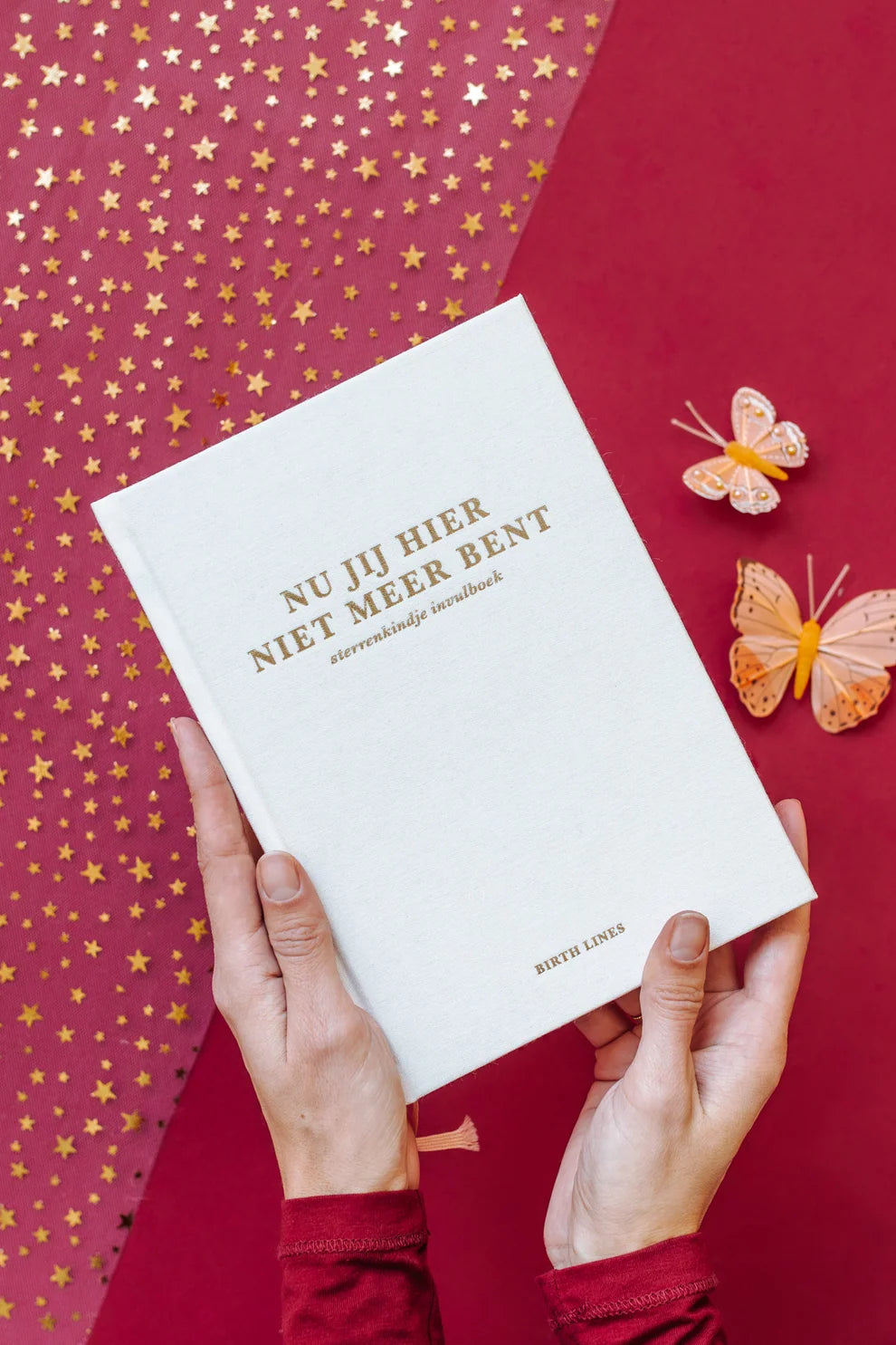 Nu jij hier niet meer bent – Herinnerings- en invulboek voor je sterrenkindje – Birth Lines
