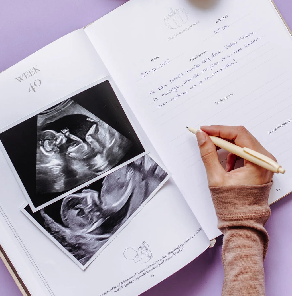 Het begin van jouw leven – All-in-one Schwangerschafts- und Baby-Erinnerungsbuch von 0 bis 1 Jahr – Birth Lines
