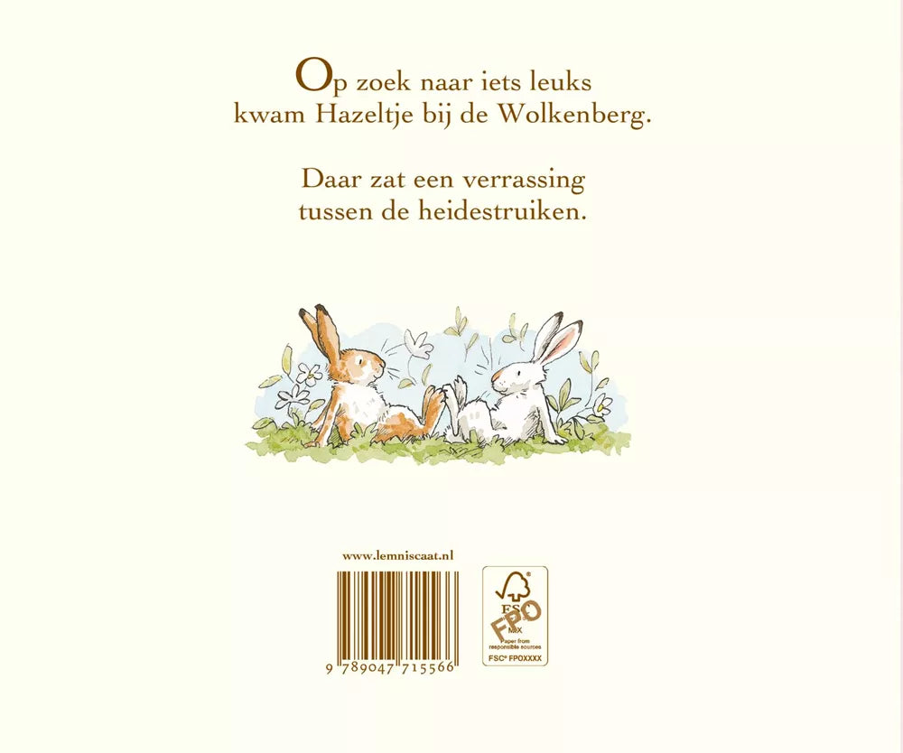 Zullen we vriendjes zijn? – Raad eens hoeveel – Kartonboek – 2+