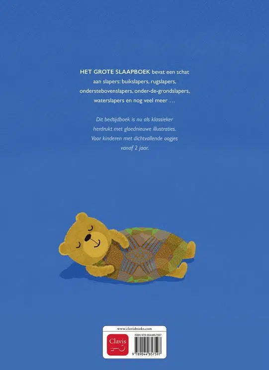 The Big Sleep Book - Picture book from 2 years