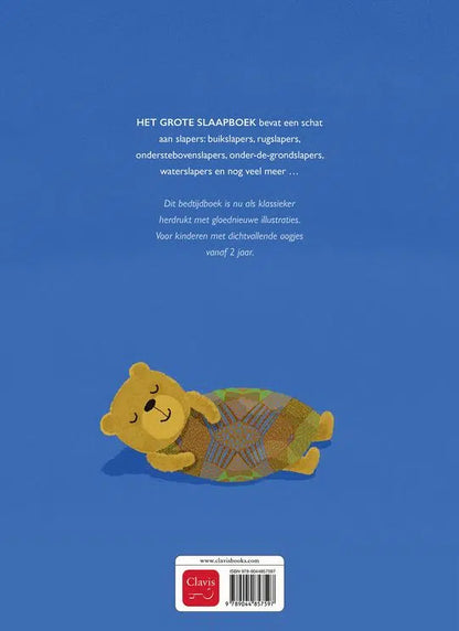 The Big Sleep Book - Picture book from 2 years