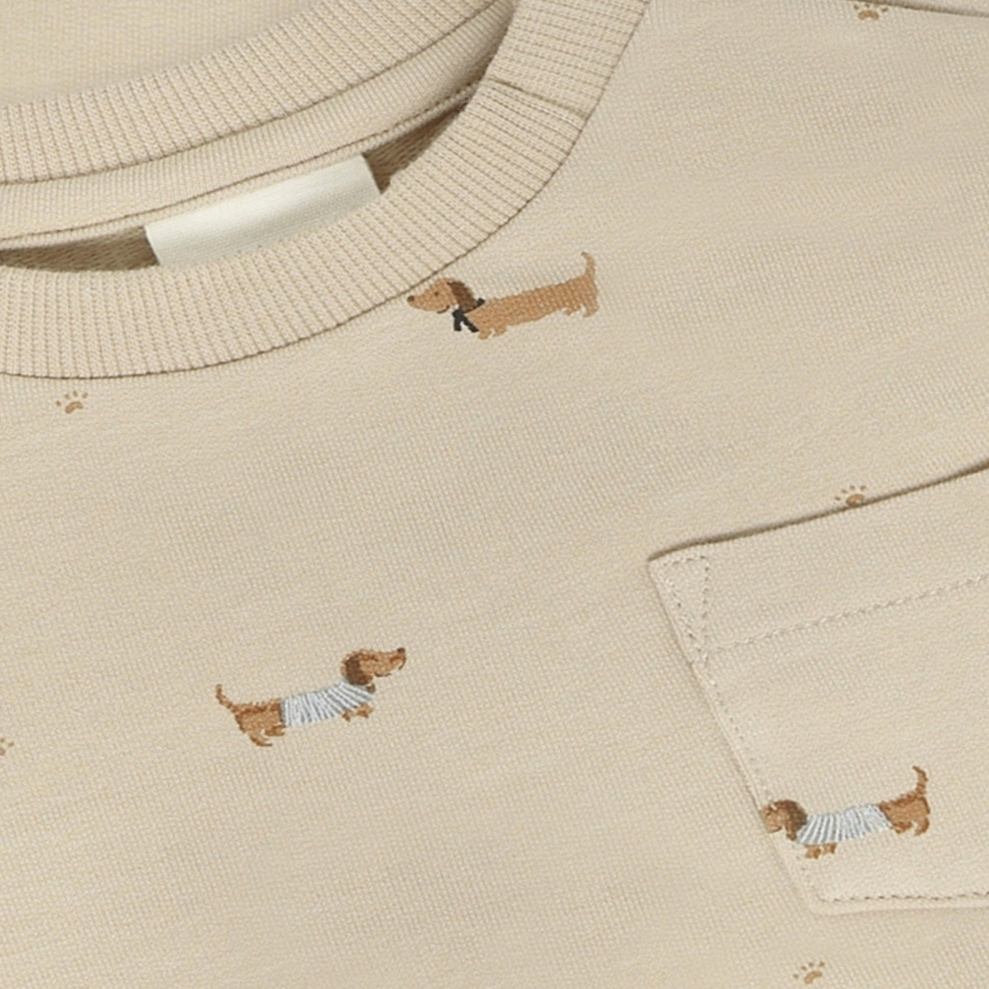 Sweater - Humus - Beige met teckel print - Fixoni - close up