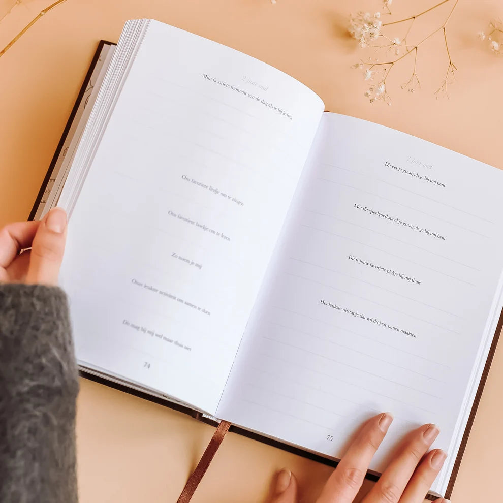 Sinds jij mijn kleinkind bent – Grandparent Memory Book with Keepsakes and Life Lessons for 10 Years – Birthlines